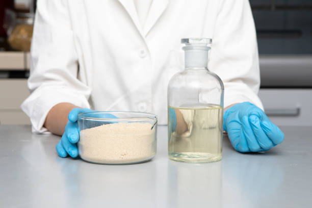 Tannic Acid vs. Gallic Acid: Key Differences for Food Preservation & Industrial Use Cases